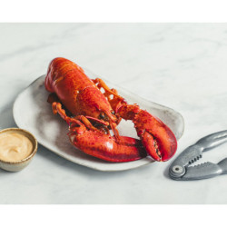 Le Homard européen cuit 400/600g