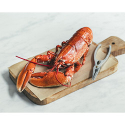 Homard canadien cuit 400/600g