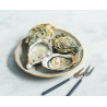 12 Huîtres fines de claires IGP Marennes-Oléron N°3