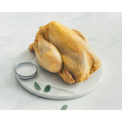 Poularde fermière du Gers Label Rouge 2kg environ