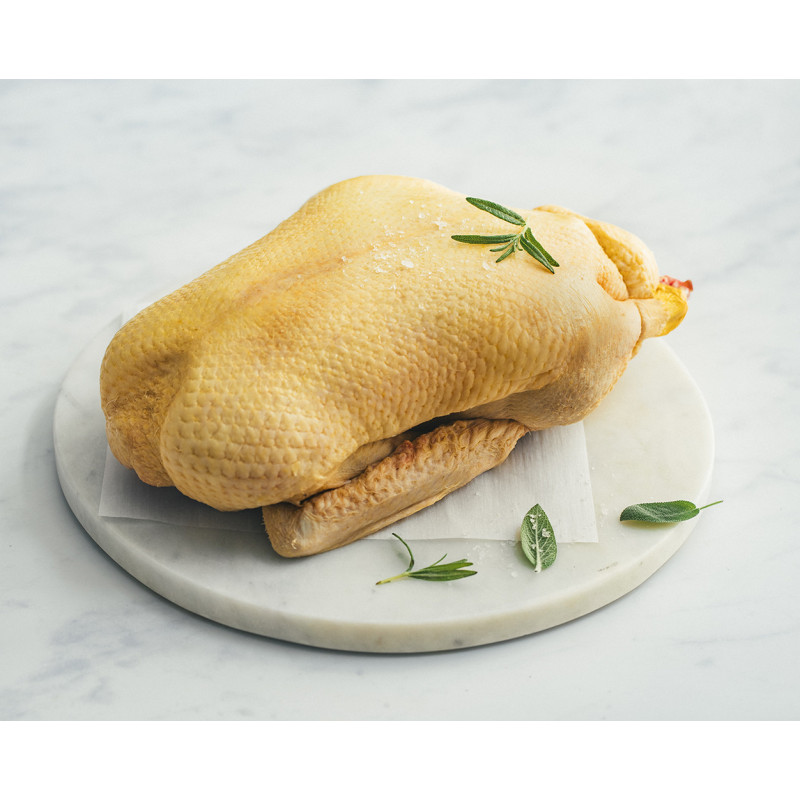 Canette entière 1,7kg environ