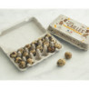 Oeufs de caille x18
