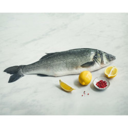 Le Bar d'élevage vidé