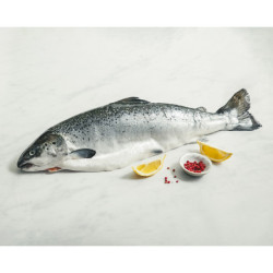 Saumon d'élevage entier vidé 1/3 kg