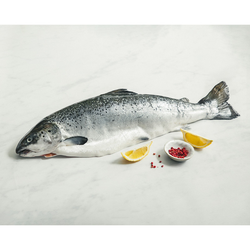 Saumon d'élevage entier vidé 1/3 kg