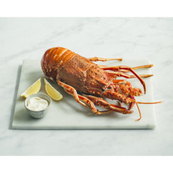 Langouste rouge cuite 0.8/1.2 kg
