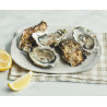 **EXCLU WEB**  96 Huîtres Fines de claires IGP Marennes-Oléron N°3